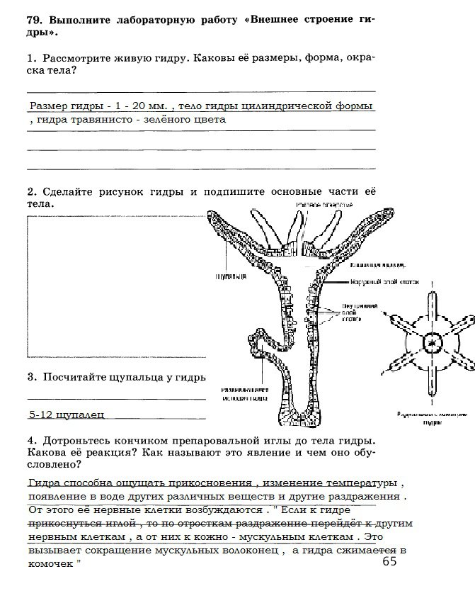 Переход на кракен