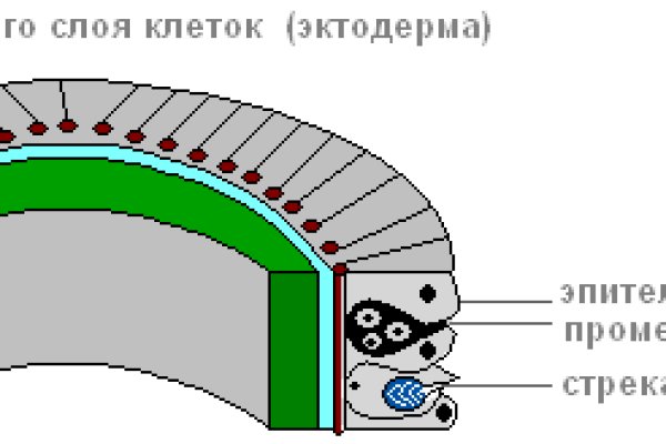 Кракен почему не заходит